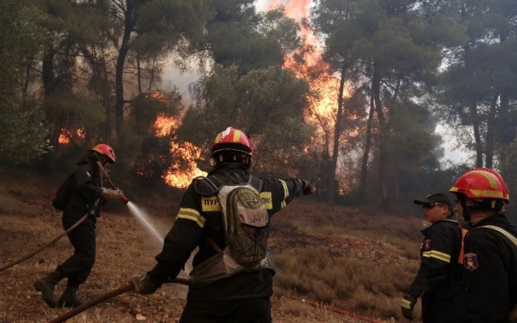 Φωτιά στην Τανάγρα: «Τιτάνια» η προσπάθεια των πυροσβεστών να νικήσουν το «θεριό»!-Εικόνες, Βίντεο